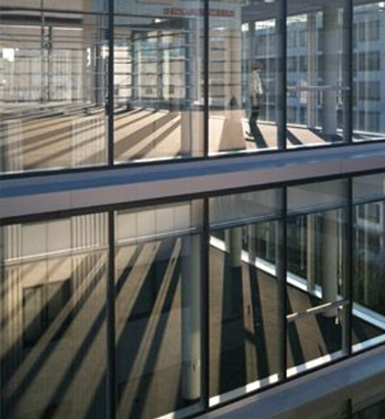 Glass Curtain Wall view 4