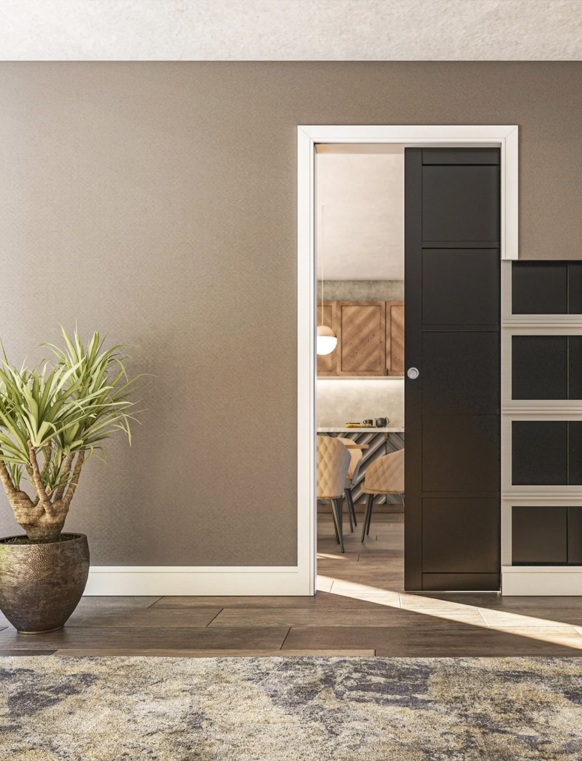 Pocket Door Solid Core view 3