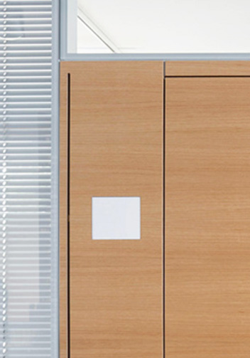 Fire Rated Door