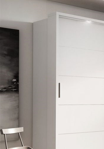 Wardrobe (Mirror Door)