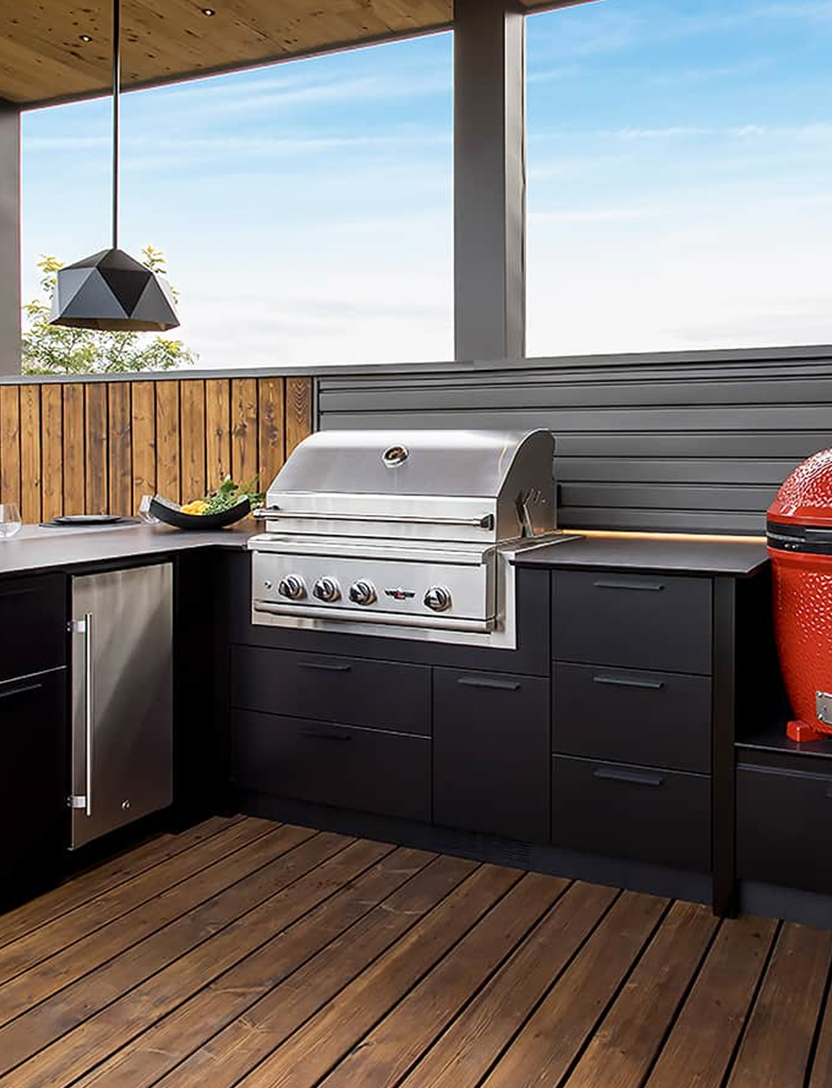 PET Kitchen Cabinet view 3