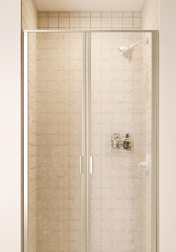 Shower Door