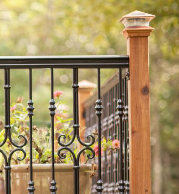 Wrought Iron Railing view 4