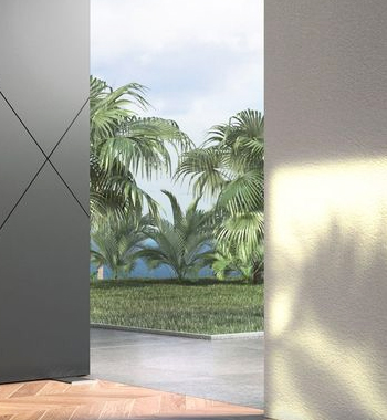 Steel Door With Pivot view 4