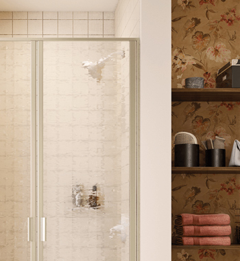 Shower Door view 4