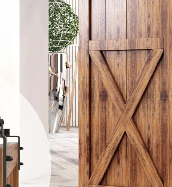 Barn Door Solid Core view 4
