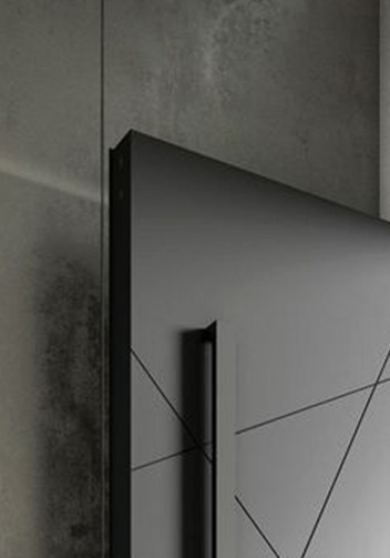 Steel Door With Pivot