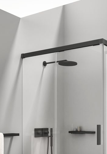 Shower Door