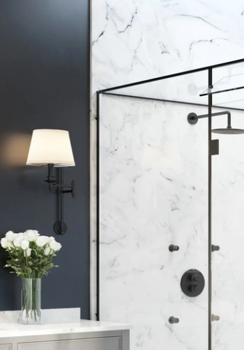 Shower Door